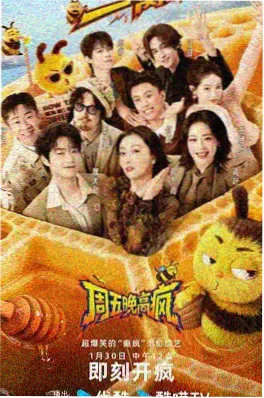 乘风2025 综艺海报